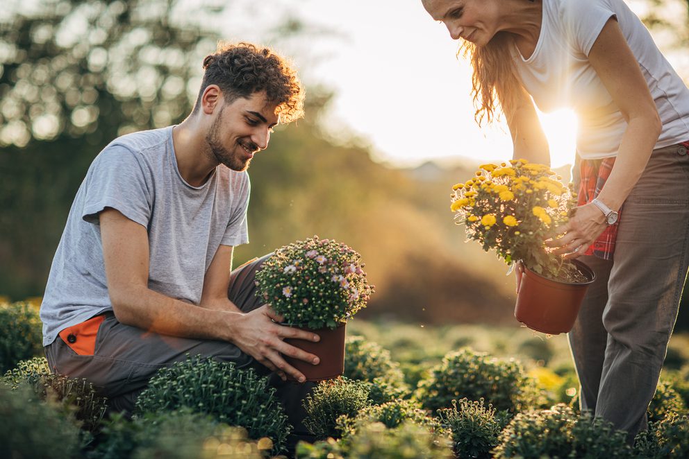 Couple choosing potted flowers