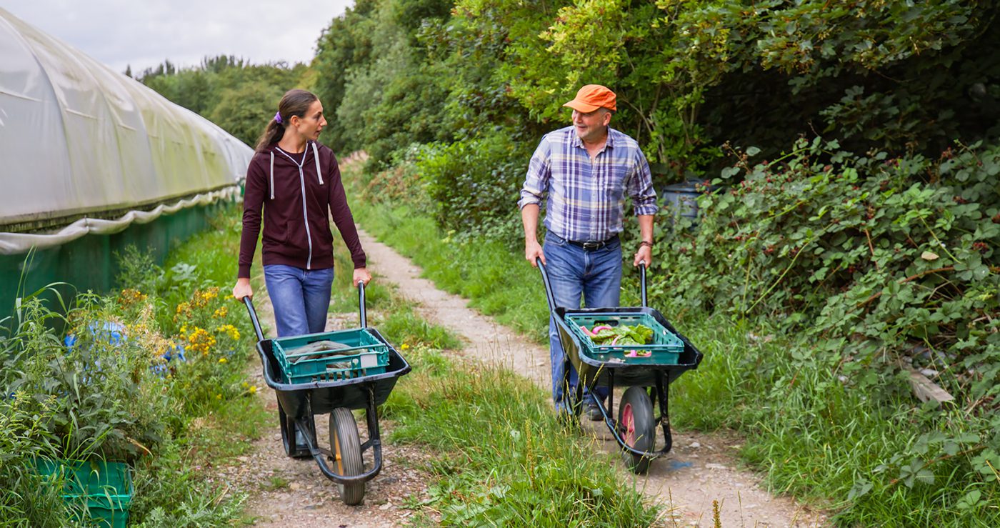 Couple pushing wheelbarrows