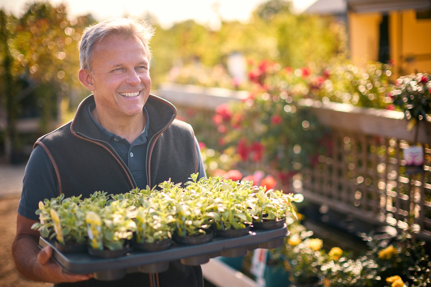Happy man holding tray of seedlings