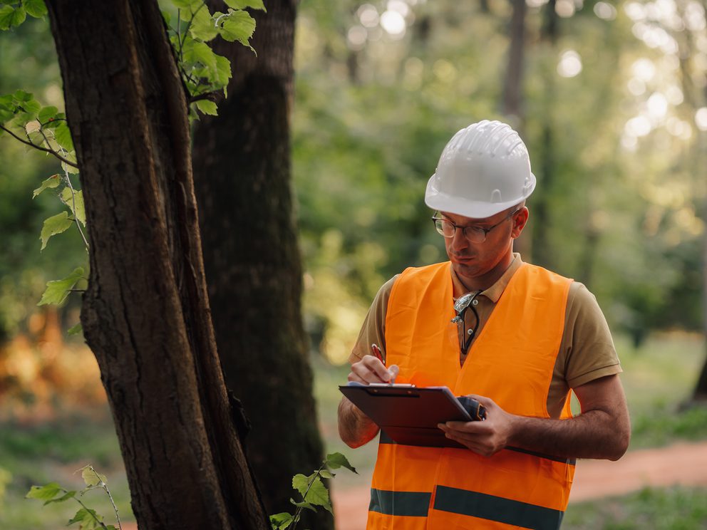 Man in high vis inspecting tree