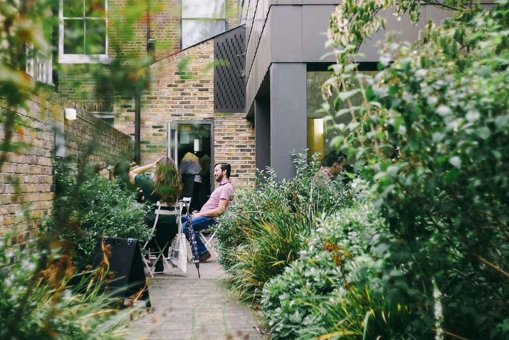 Urban garden josh wilburne unsplash