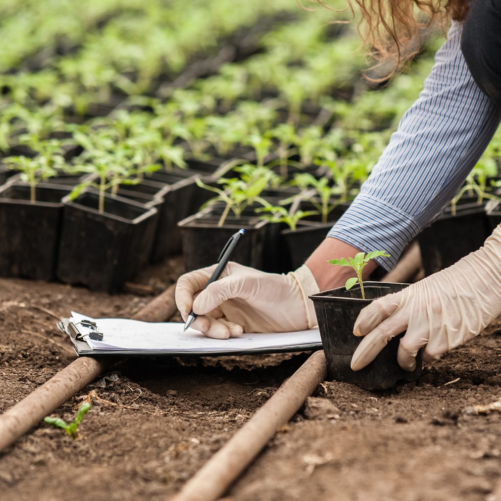 Woman inspecting seedling with clipboard