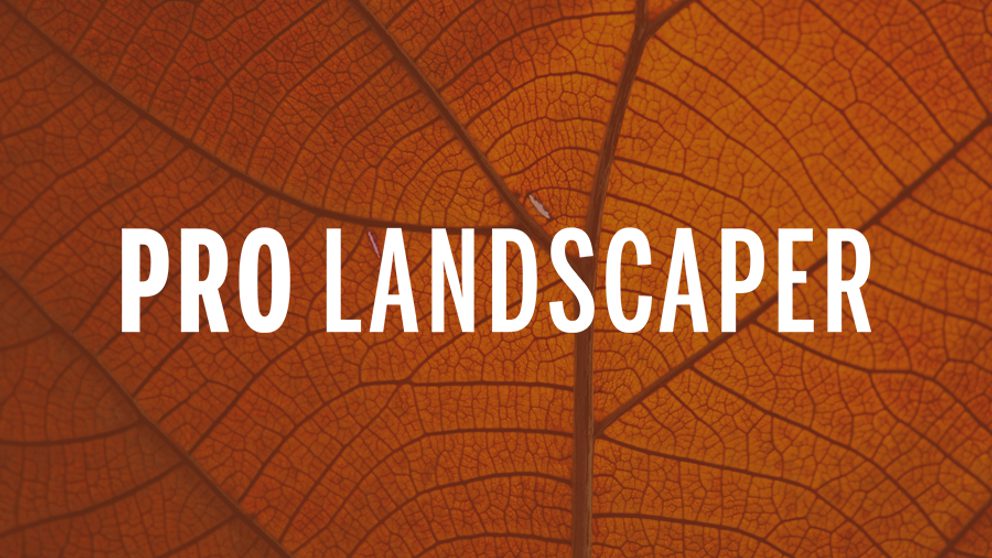 Pro landscaper article
