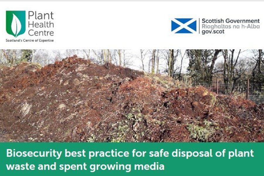 Screenshot 2023 03 06 073537 crop