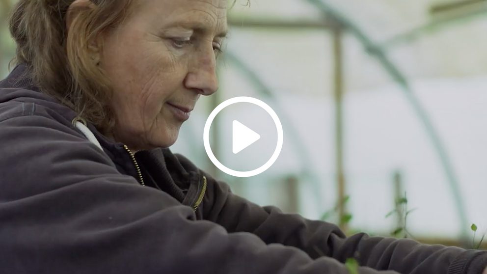 Public everyone has a role to play poster play icon