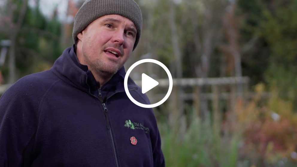 Trade what is plant healthy poster play icon