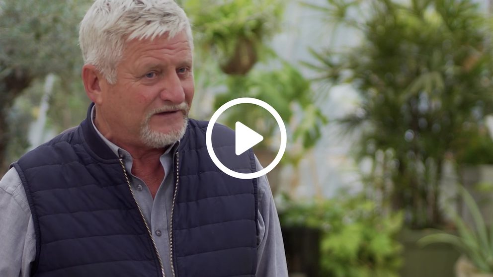 Trade who is plant healthy poster play icon