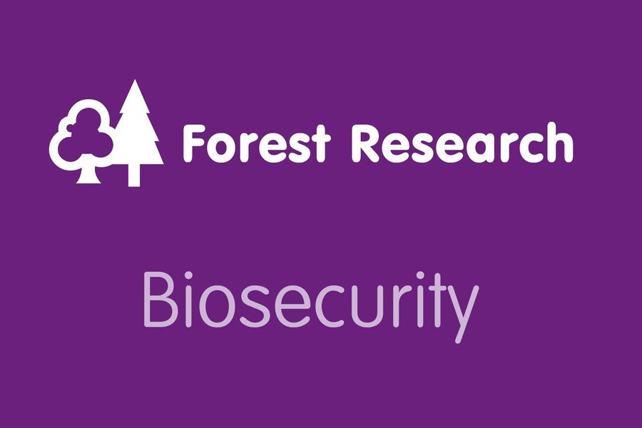 Thumbnail Forest Research